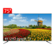 TCL-Television-Model-75P735-3